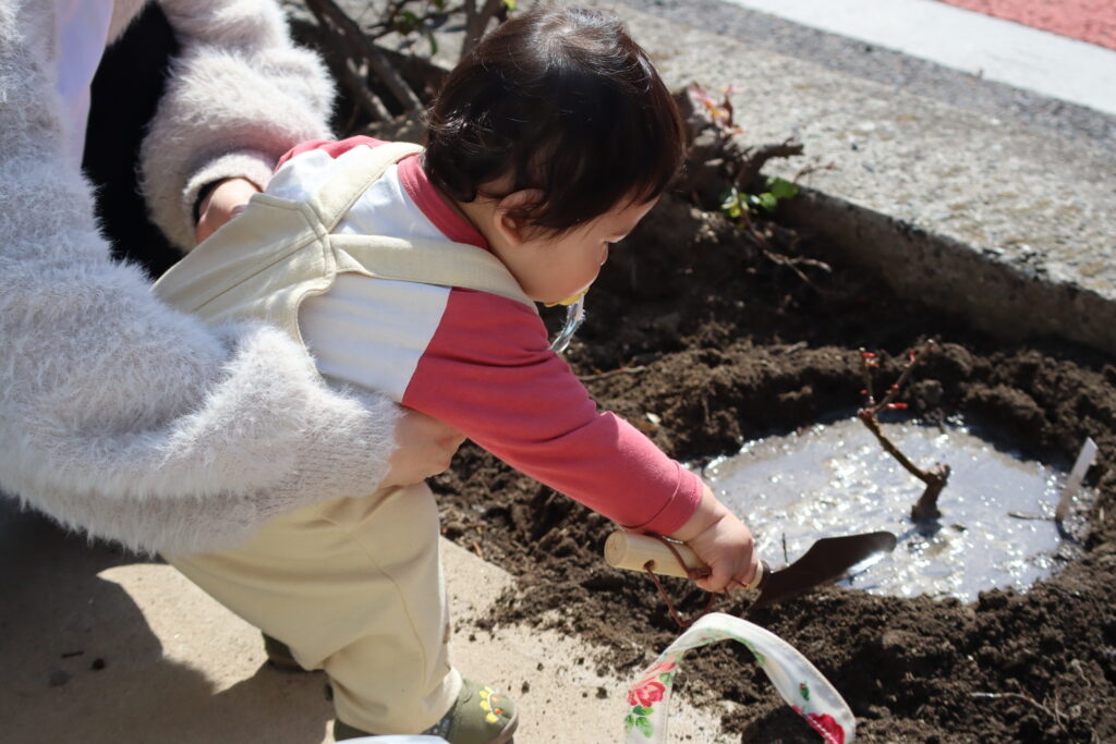 参加した子どもがばらを植えているようす